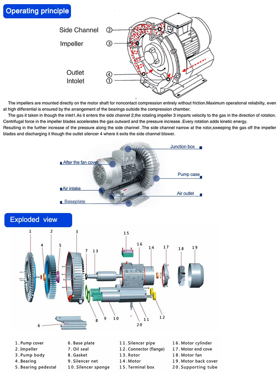 Factory Supply Single Stage Rotary Vane Vacuum Pump Air Blower for Fish Pond